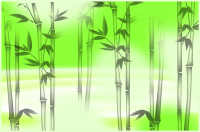 #STEPNPanda26 Background