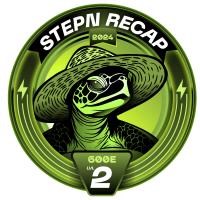 #STEPNRecap24 Turtle