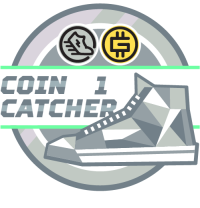 The Coin Catcher (Rank 1)