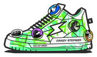 STEPNRecap24.