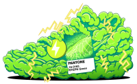 Pantone