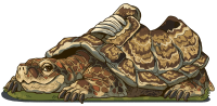 Tortoise Sneaker
